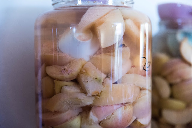 Äppelklyftorna i glasburken ska bli äppelcidervinäger Farbror Grön