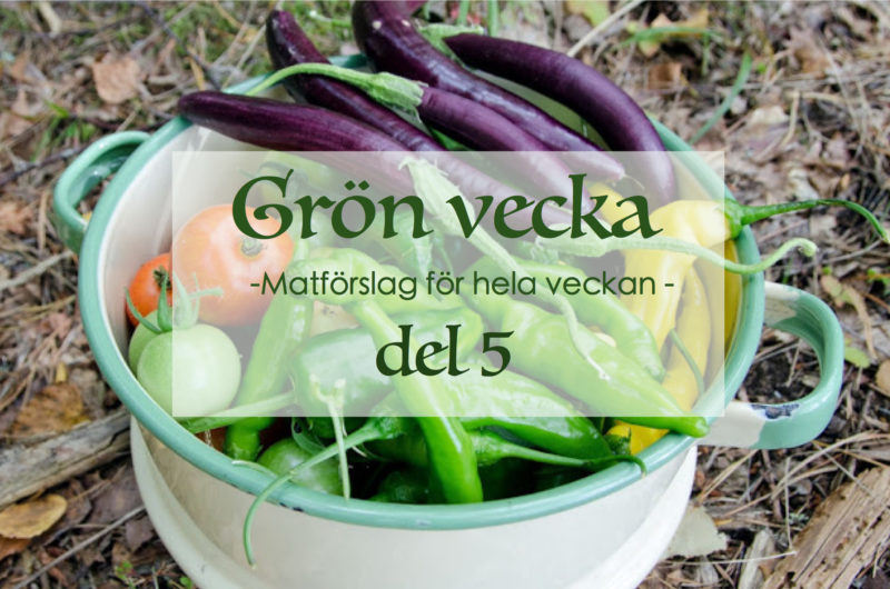 Grön vecka del 5 – matförslag för hela veckan