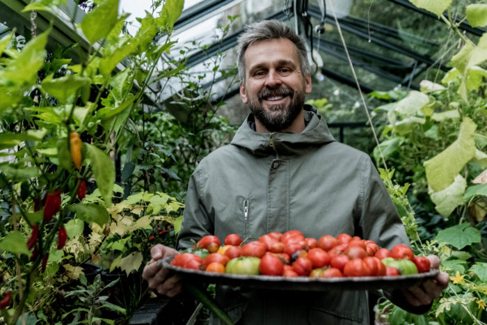 Johannes Wätterbäck med stor tomatskörd