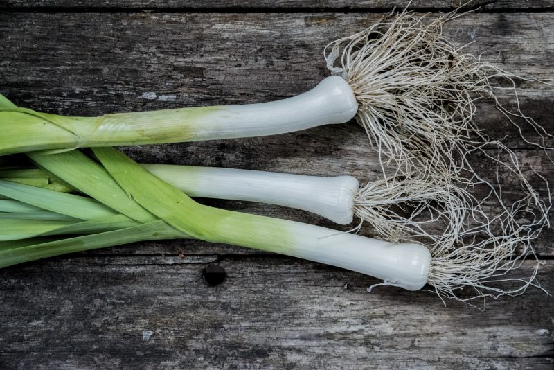 Odla Purjolök Från Sådd Till Skörd Farbror Grön 