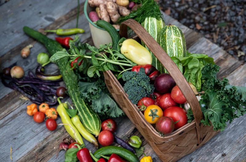 9 grönsaker som producerar mer efter skörd