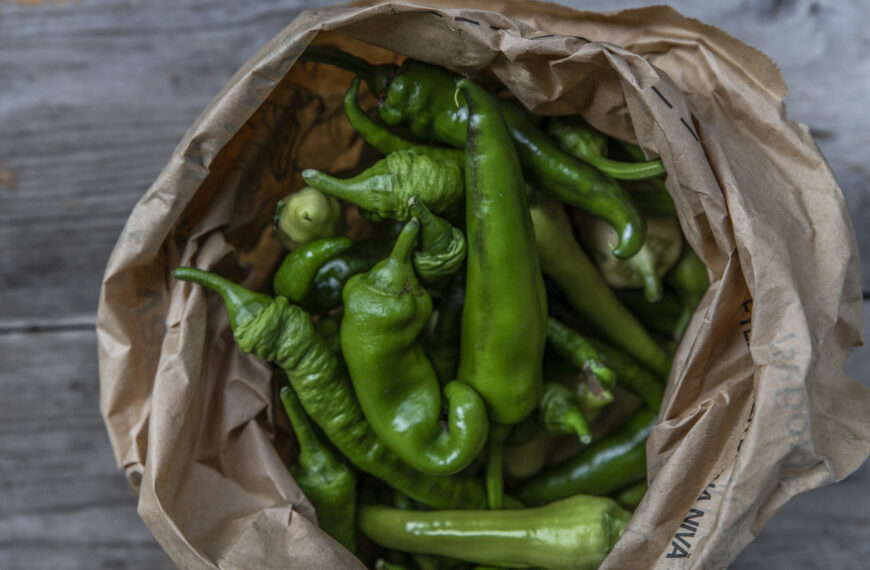 Skörda paprikor gröna – njut av flera skördar