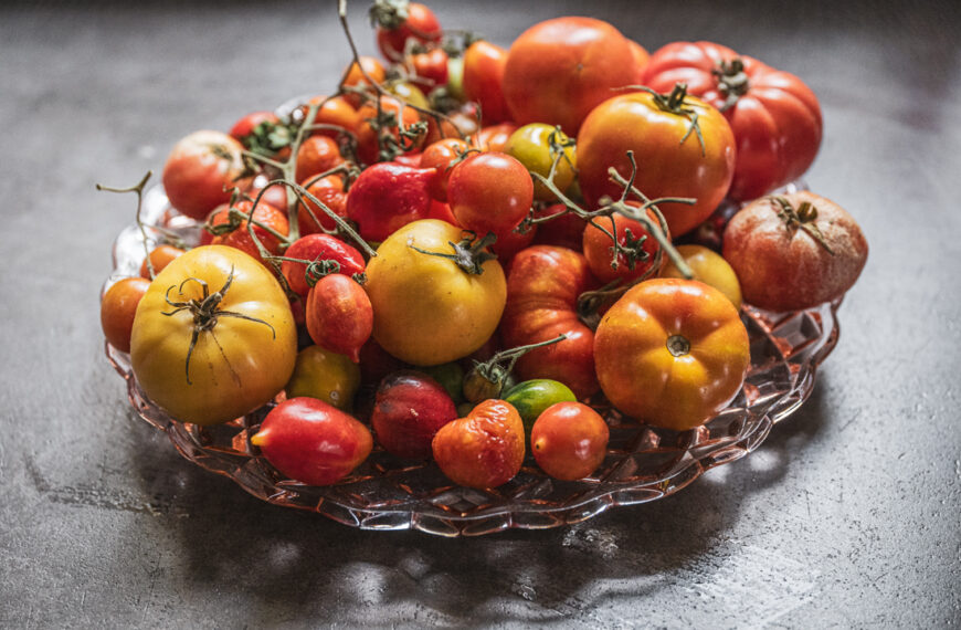 Lagringsdugliga tomater – en framtida investering
